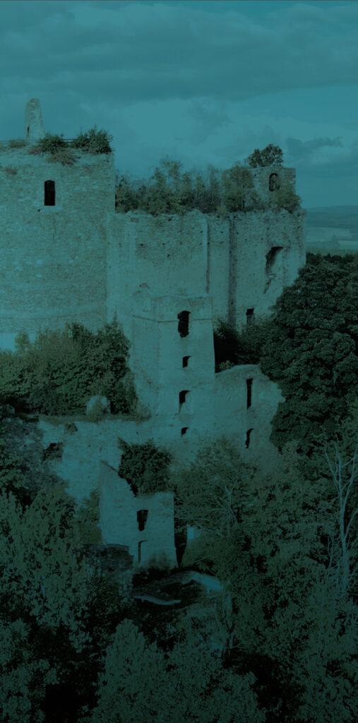 Alte Burgruine aus hellem Stein, teilweise von Bäumen und Sträuchern überwachsen. Mehrere Türme und Mauern stehen auf einem Hügel unter bewölktem Himmel.